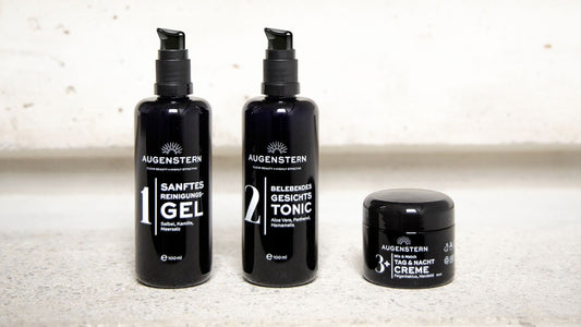 Die einfache Tagesroutine #3essentials